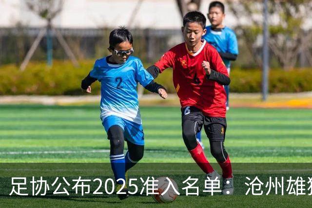 足协公布2025准入名单：沧州雄狮、广州队无缘